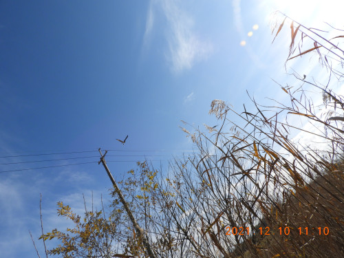 DSCN0589.JPG