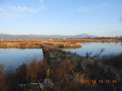 DSCN0599.JPG