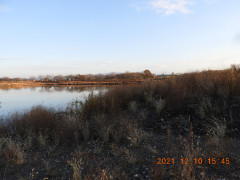 DSCN0600.JPG