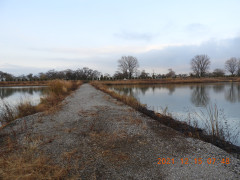 DSCN0613.JPG