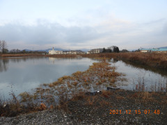 DSCN0614.JPG