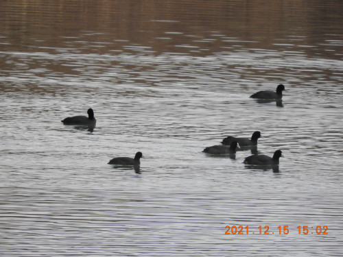 DSCN0652.JPG