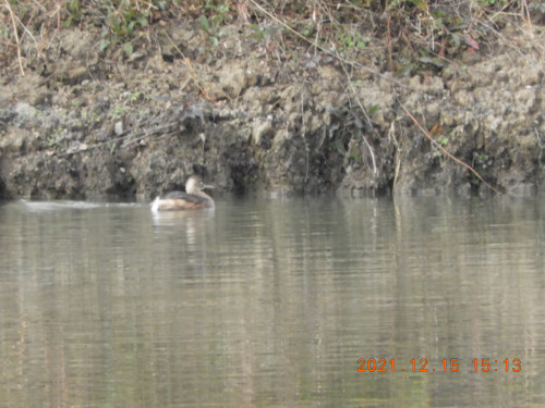 DSCN0661.JPG