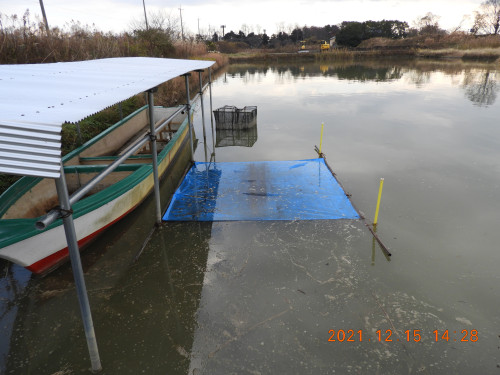 DSCN0626.JPG