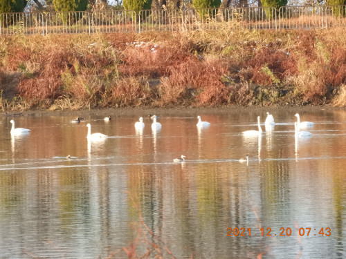 DSCN0686.JPG