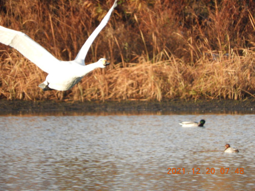 DSCN0694.JPG