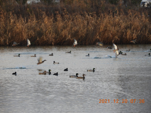 DSCN0668.JPG