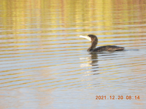 DSCN0738.JPG
