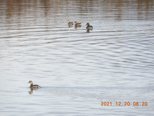 DSCN0754.JPG