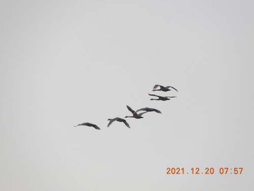 DSCN0700.JPG