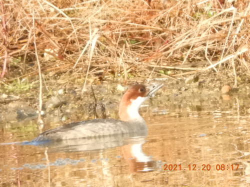 DSCN0745.JPG