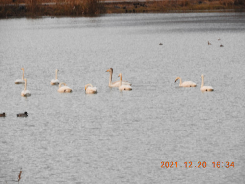 DSCN0764.JPG