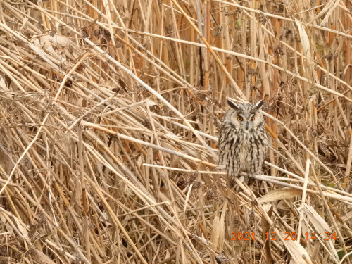 DSCN0760.JPG