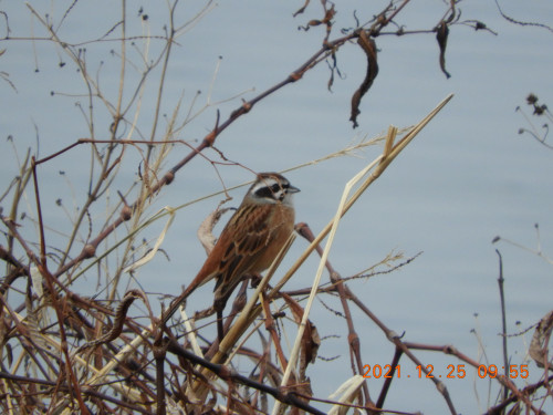 DSCN0801.JPG