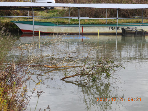 DSCN0796.JPG