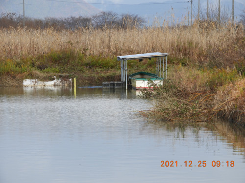 DSCN0795.JPG