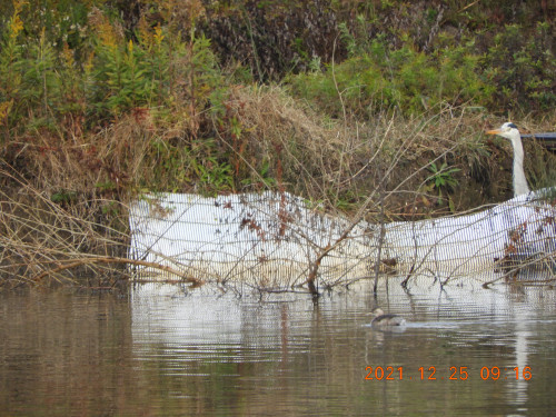 DSCN0790.JPG