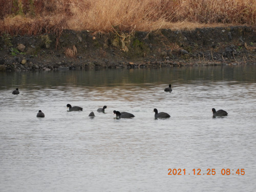 DSCN0780.JPG