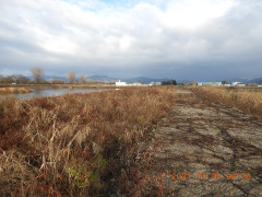 DSCN0779.JPG
