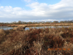 DSCN0778.JPG
