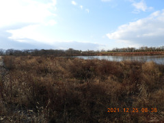 DSCN0777.JPG