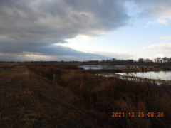 DSCN0774.JPG