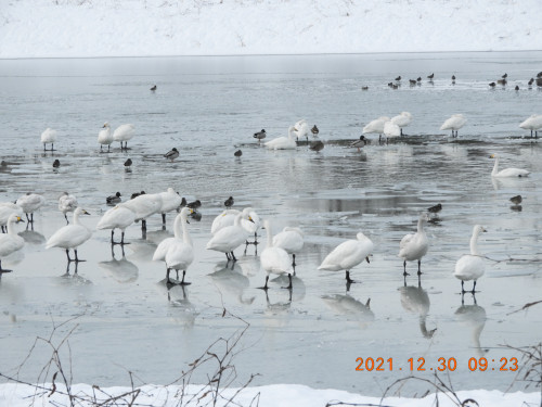 DSCN0855.JPG