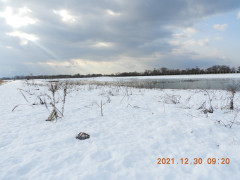 DSCN0851.JPG