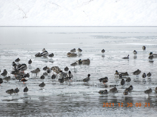 DSCN0854.JPG