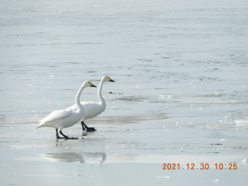 DSCN0971.JPG