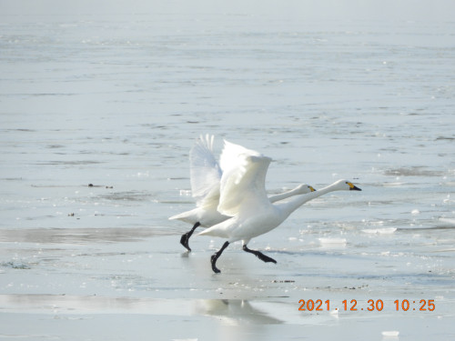 DSCN0972.JPG