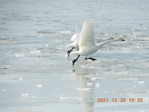 DSCN0973.JPG