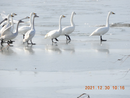 DSCN0946.JPG