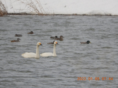 DSCN1018.JPG
