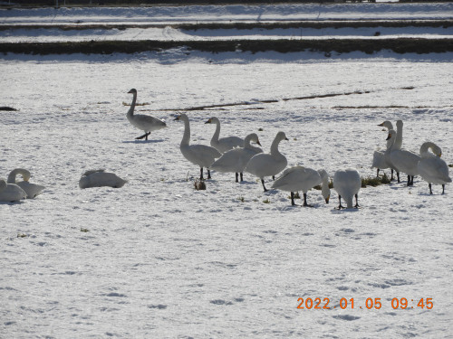 DSCN1059.JPG