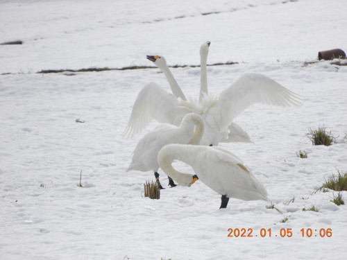 DSCN1088.JPG
