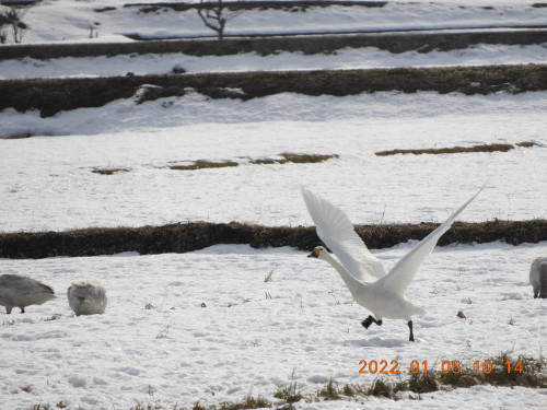 DSCN1108.JPG