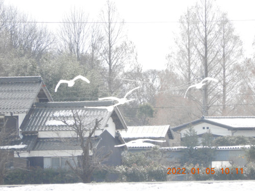 DSCN1106.JPG
