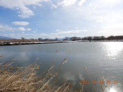 DSCN1141.JPG