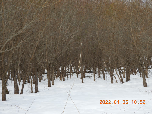 DSCN1145.JPG