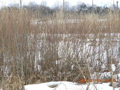 DSCN1148.JPG