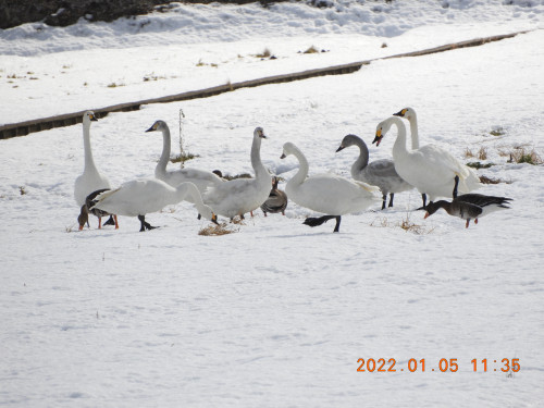 DSCN1196.JPG