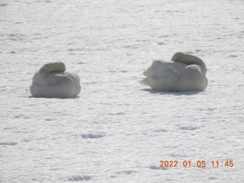 DSCN1205.JPG