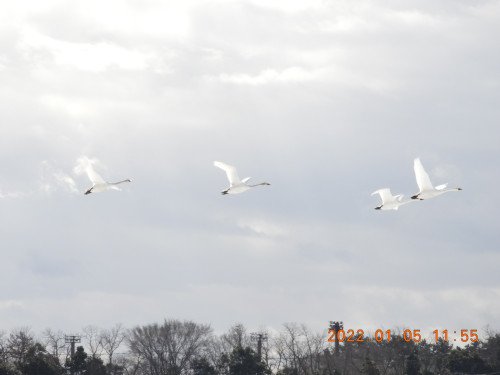 DSCN1216.JPG