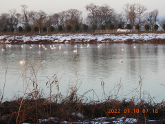 DSCN1264.JPG