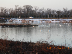 DSCN1263.JPG