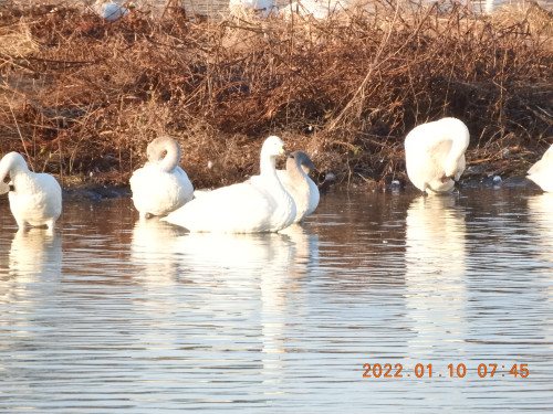 DSCN1390.JPG