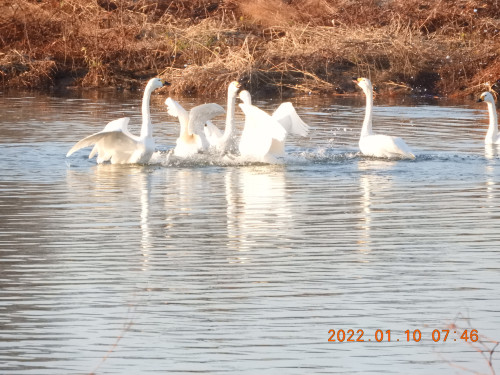 DSCN1392.JPG