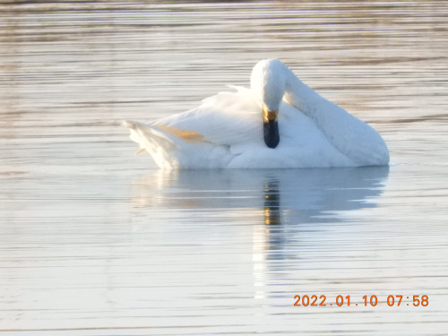 DSCN1421.JPG