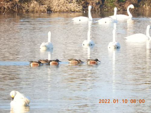 DSCN1425.JPG